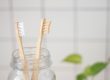 two wooden toothbrushes in jaw on countertop