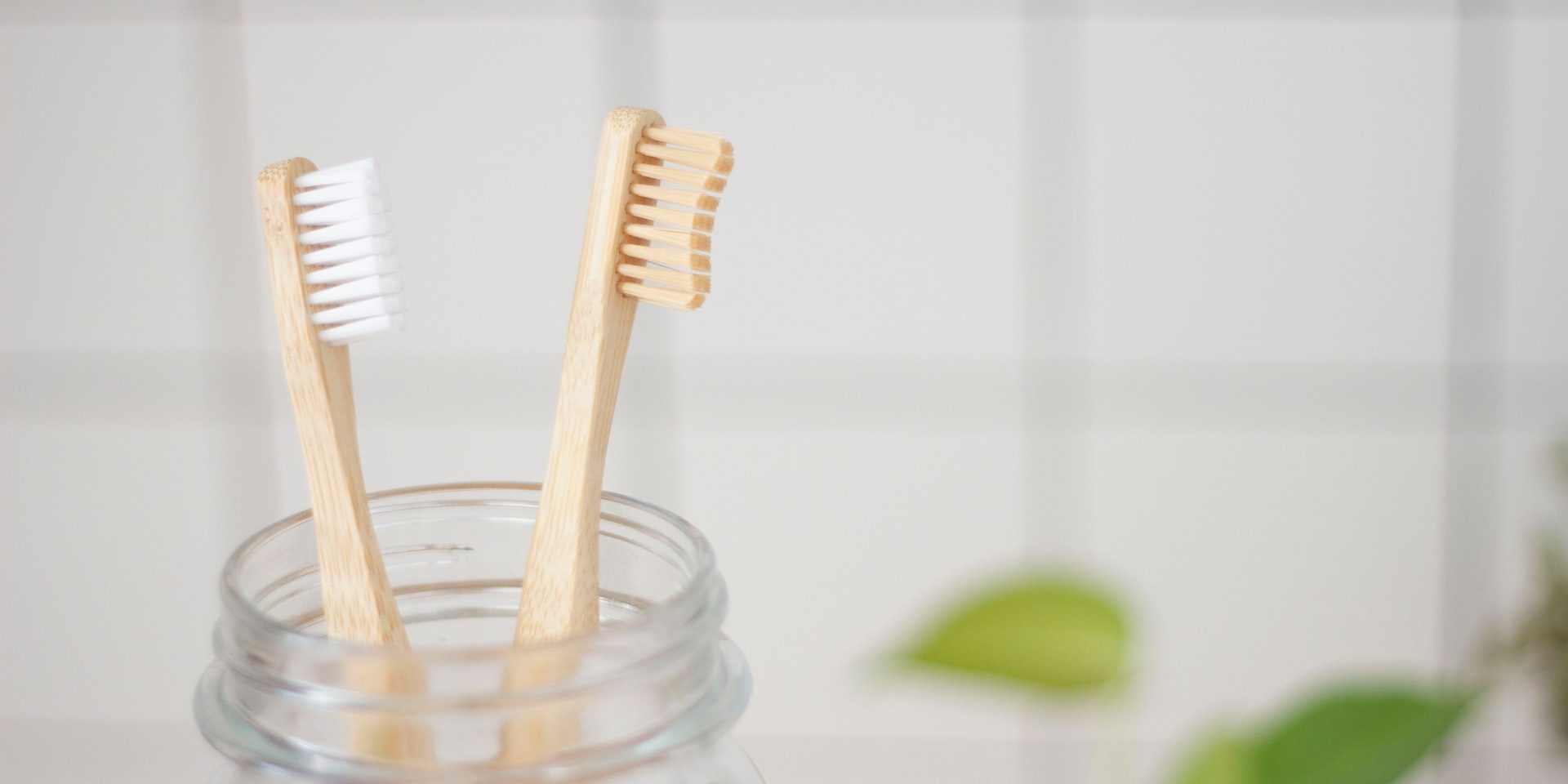 two wooden toothbrushes in jaw on countertop two wooden toothbrushes in jaw on countertop